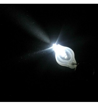 Flashlight Keychain Mini LED White Light Torch