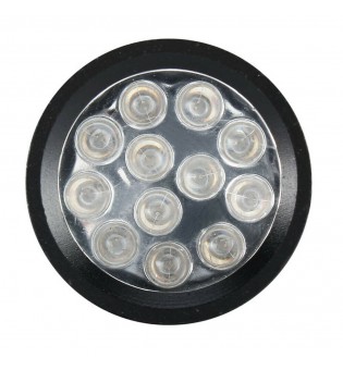 new 12 LED UV Ultra BLACKLIGHT UV FLASHLIGHT TORCH LIGHT LAMP for Camping