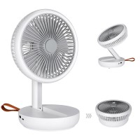 Portable Fan